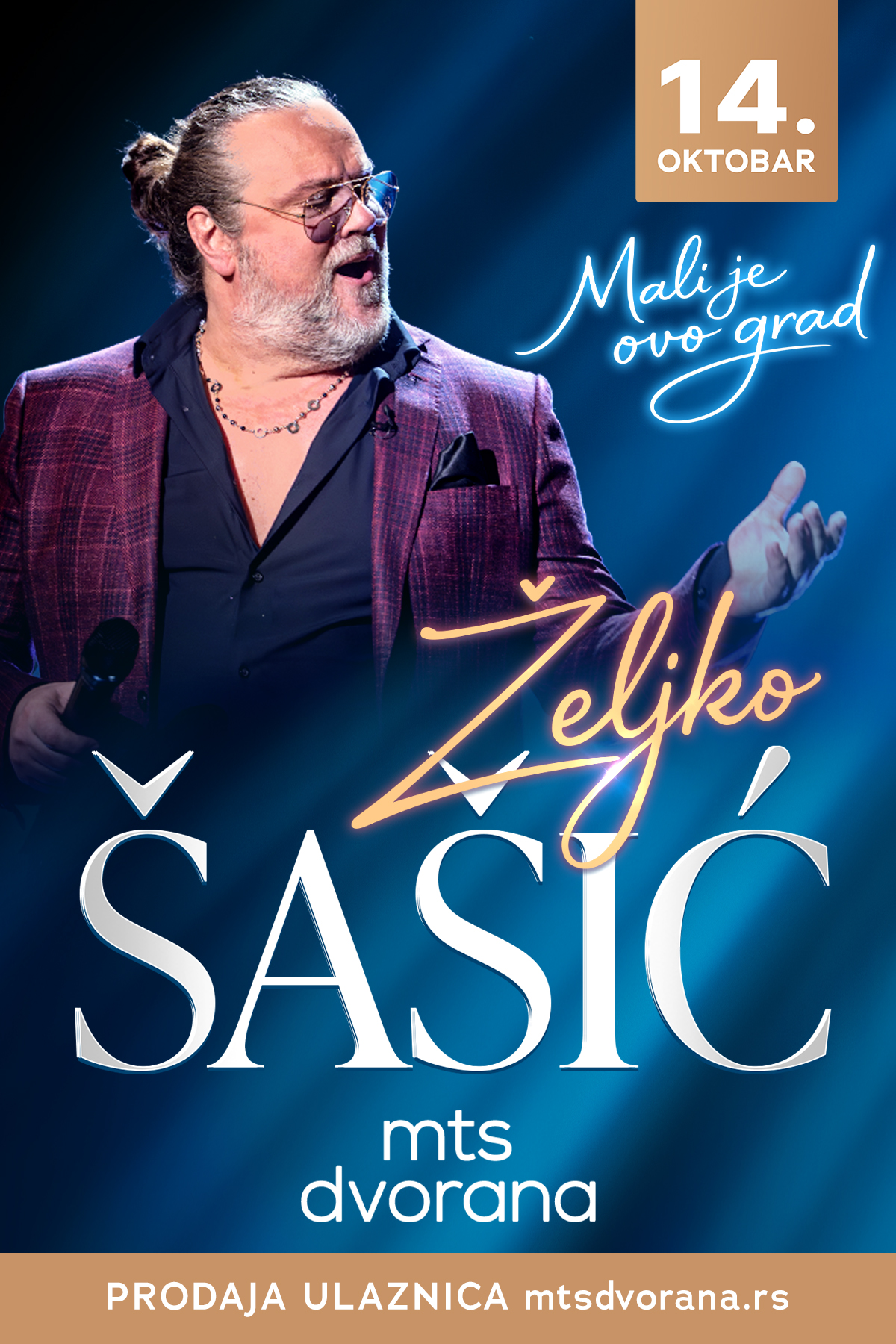 ŽELJKO ŠAŠIĆ 