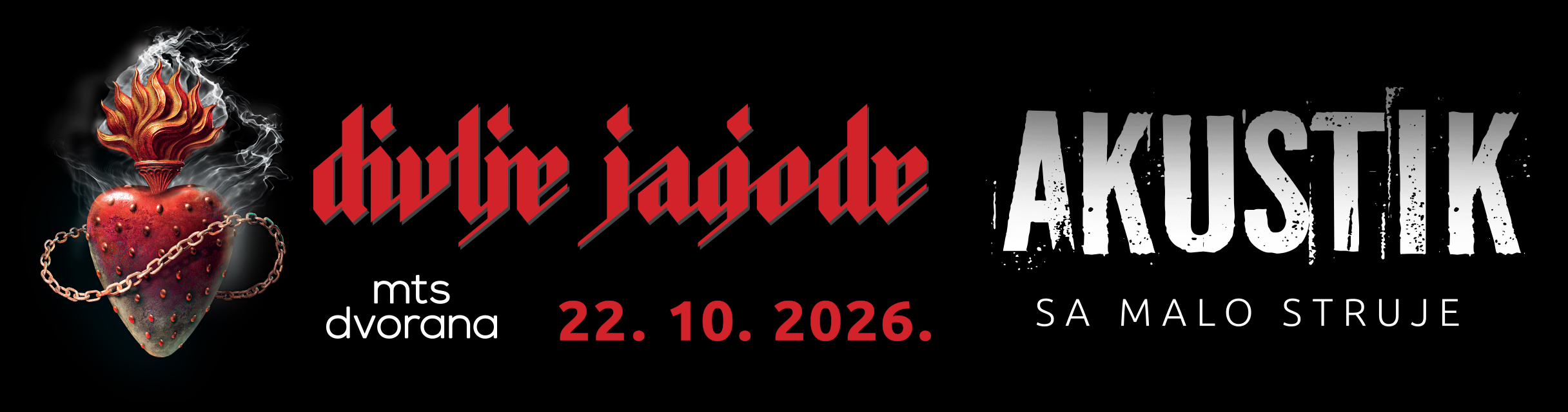DIVLJE JAGODE 
