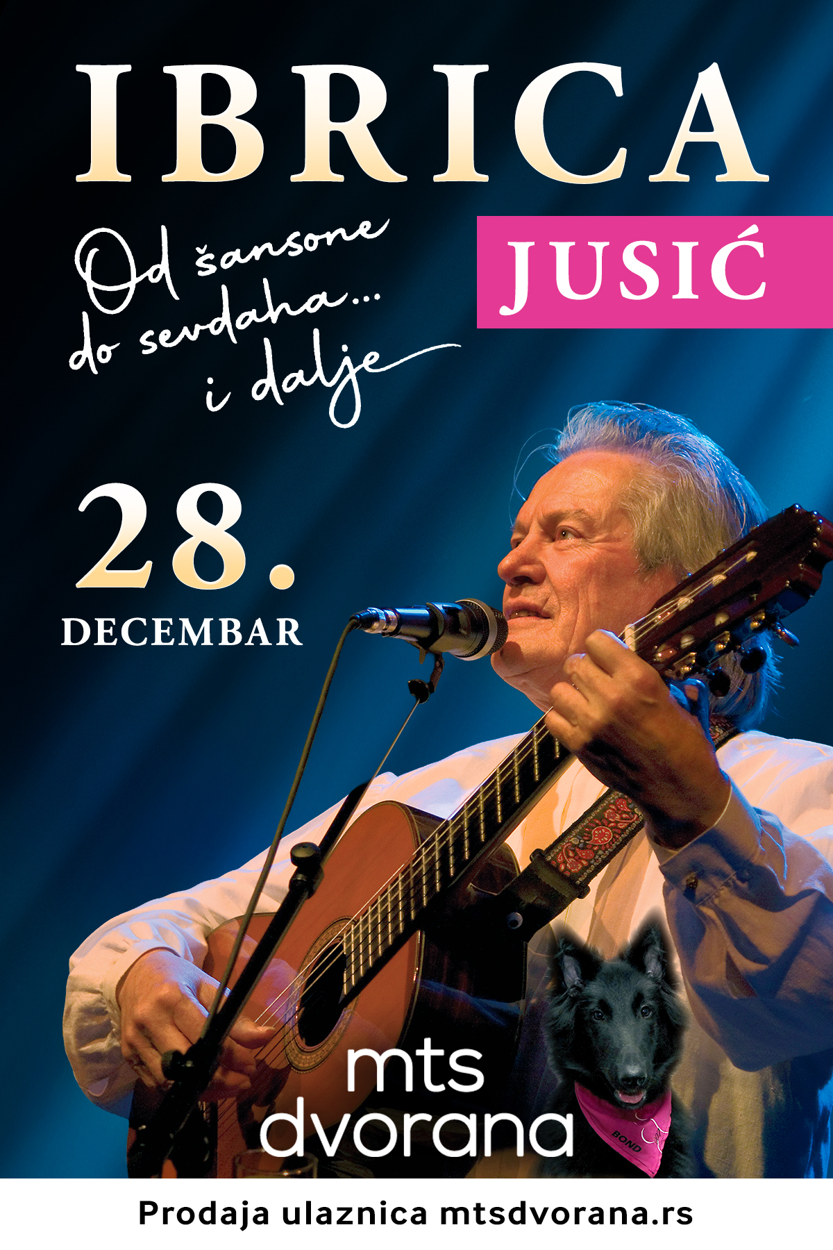 IBRICA JUSIĆ