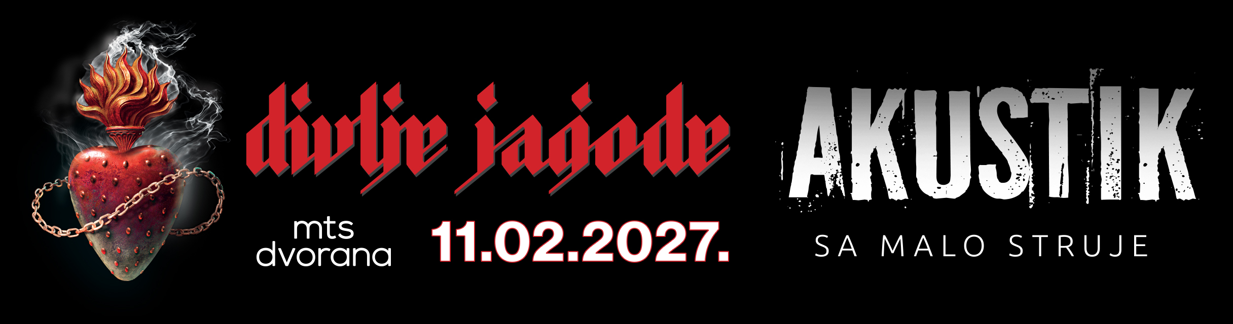 DIVLJE JAGODE 